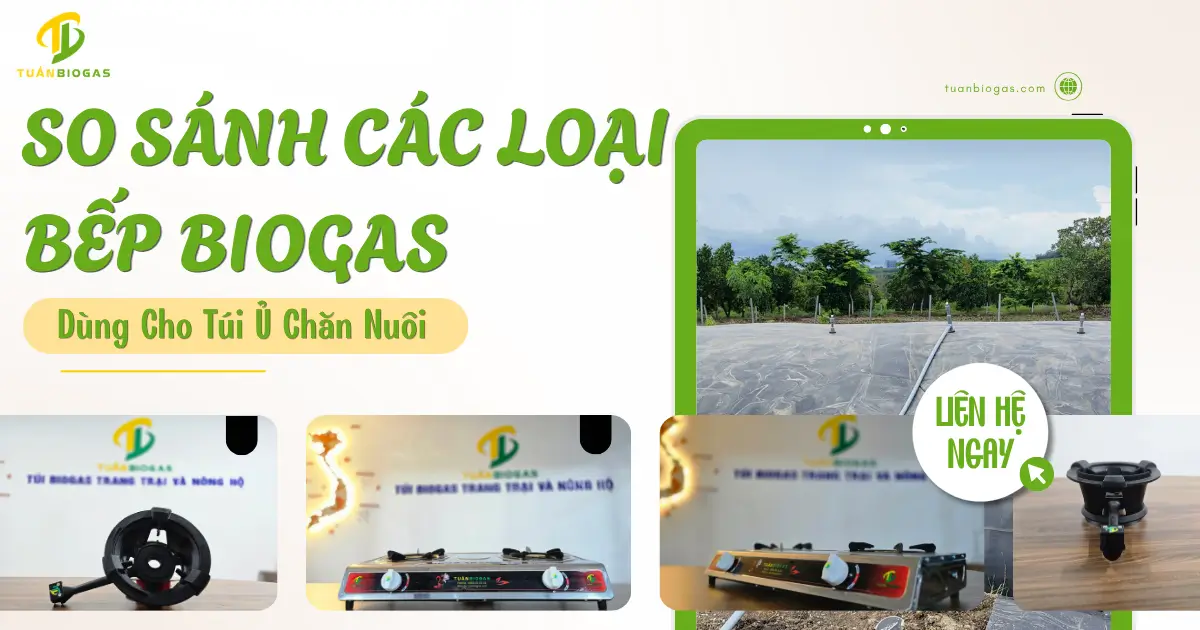 So Sánh Các Loại Bếp Biogas Cho Túi Ủ Chăn Nuôi: Nên Tự Chế Hay Mua Sẵn?
